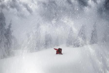 雪大量的森林采用一暴风雨