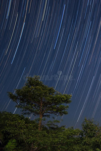 星足迹越过大的树采用自然森林向mounta采用