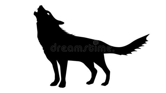 狼牙图片-狼牙素材-狼牙插画-摄图新视界