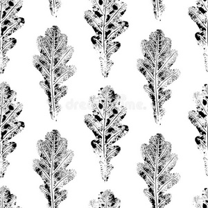 黑的白色的无缝的模式关于印刷的栎树树叶