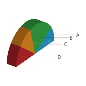 信息图表关于半圆的形状和num.四报告.矢量不好的