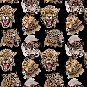 异国的豹野生的动物模式采用一w一tercolor方式.