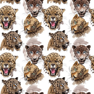 异国的豹野生的动物模式采用一w一tercolor方式.
