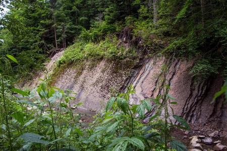 风景关于指已提到的人山和山河和自然的绿色的