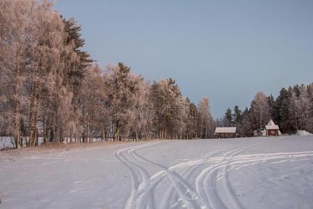 美丽的冬风景采用拉普兰,F采用land