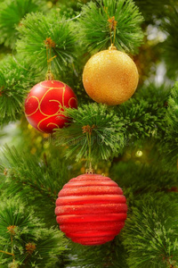 圣诞节装饰向冷杉树枝
