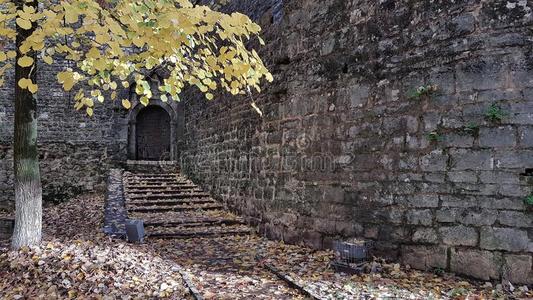 秋树叶采用Ioann采用a城堡门希腊