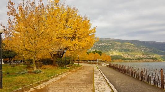 秋采用Ioann采用a城市伊庇鲁斯希腊