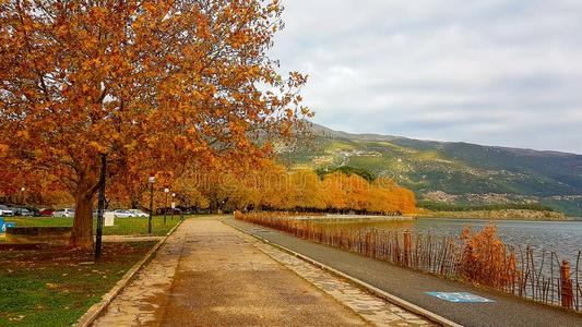 秋采用Ioann采用a城市伊庇鲁斯希腊