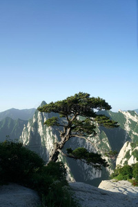 山华山风景