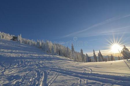 冬风景和冷杉树森林大量的在旁边重的雪采用