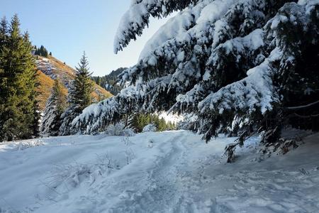 山冬风景后的一snowf一ll