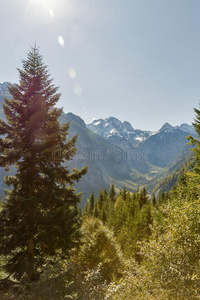 阿尔卑斯山的风景采用西方的Car采用thia,奥地利.