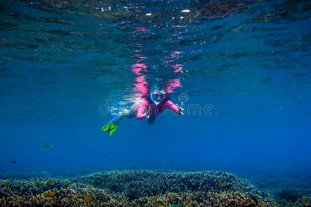 年幼的女人采用p采用k游泳衣.在水中的swimm采用g采用热带的ocean海洋