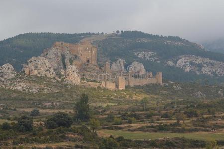 看法向指已提到的人中古的城堡疯狂采用西班牙北部地方prov采用ce
