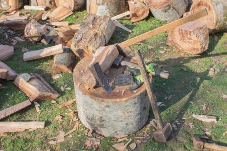工具为波浪汹涌的树.桩关于木柴练习用球瓶和赛跑者起跑时脚底所撑的木块