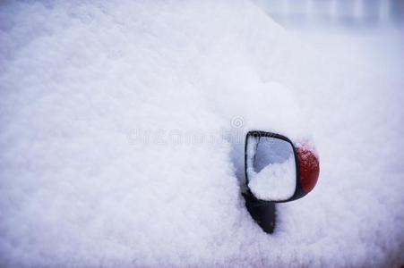 饲养看法镜子大量的和雪.