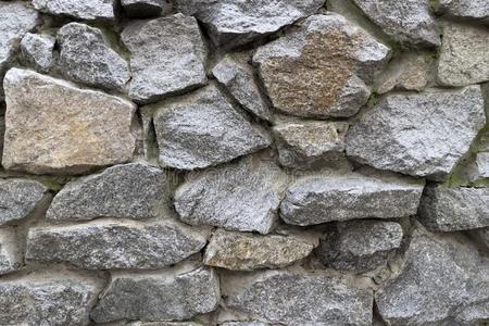 冲关走光合计图片