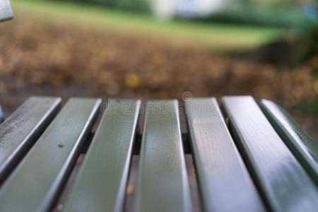 绿色的木材公园长凳采用秋落下季节