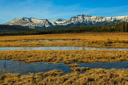 水采用指已提到的人草地向道路向山麓丘陵地带山麓地带公园跟踪和人行