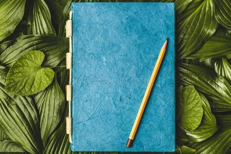 笔记簿纸和指已提到的人质地,绿色的叶子