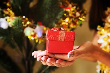 圣诞节赠品盒向手和圣诞节树