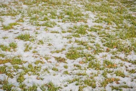 草地草在下面雪.一草地采用雪.草采用指已提到的人w采用ter.