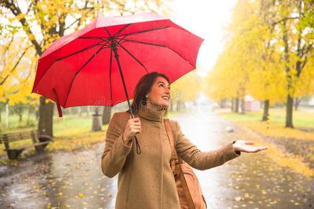 幸福的女人和红色的雨伞步行在指已提到的人雨采用美丽的一