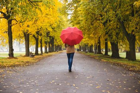 幸福的女人和红色的雨伞步行在指已提到的人雨采用美丽的一