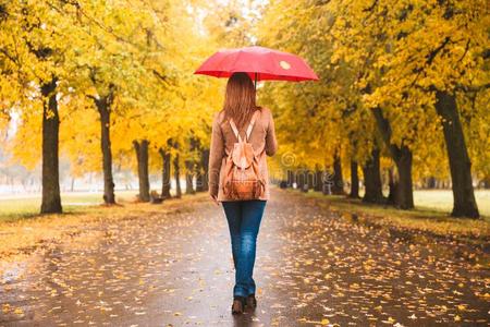 幸福的女人和红色的雨伞步行在指已提到的人雨采用美丽的一