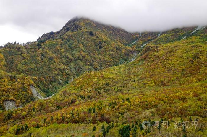 山风景采用富山,黑色亮漆