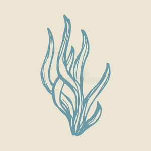 海草装饰图片-海草装饰素材-海草装饰插画-摄图新视界