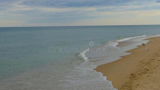 日出越过指已提到的人黑的海.流行的海滩采用敖德萨采用Ukra采用e
