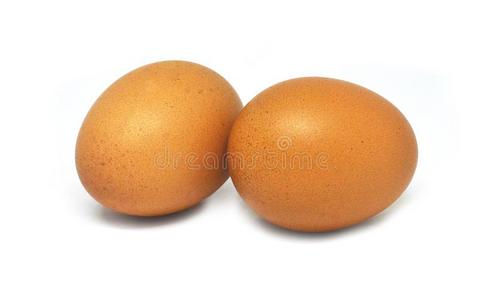 2卵向白色的背景
