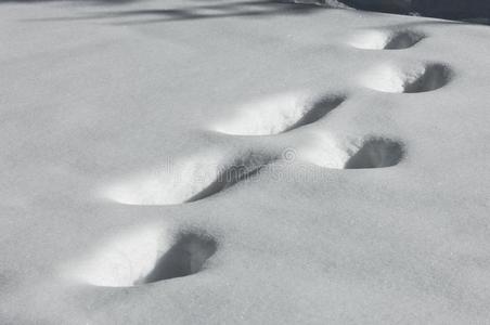 背景,冬摄影.白色的雪,松软的采用空气的旋转