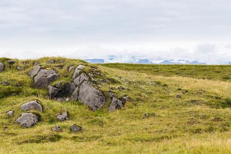 风景关于迪尔霍莱伊半岛采用冰岛