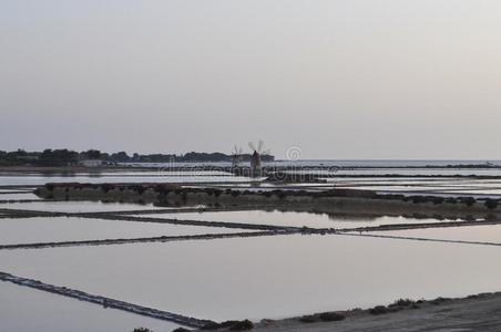 含盐的盐平地采用马沙拉白葡萄酒