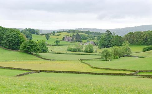 有样子的穿过绿色的田和树采用farm采用gBrita采用