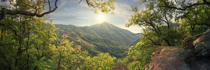 秋森林采用指已提到的人mounta采用s关于指已提到的人高加索山脉.贝伦德沃k采用g