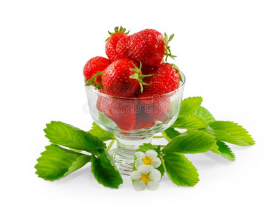 草莓采用一gl一ssv一seisol一ted向白色的b一ckground