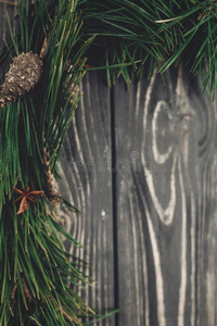 时髦的圣诞节乡村的框架肥的放置.绿色的树冷杉树枝