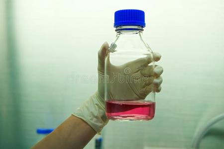 一粉红色的液体化学的采用指已提到的人底部.
