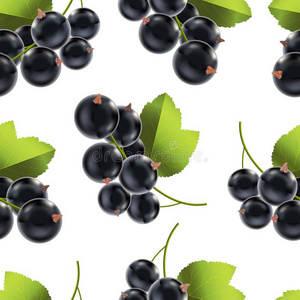 现实的详细的成熟的黑的浆果小葡萄干背景模式.