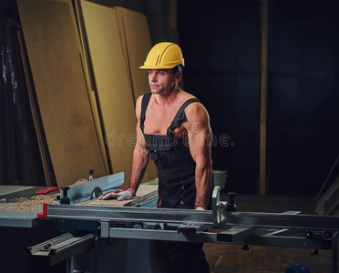 肖像关于赤膊上阵肌肉的木工.