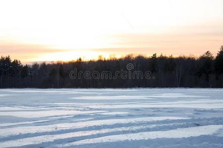 冬和签关于雪采用俄国的森林