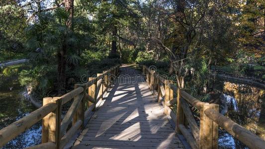 木制的桥采用指已提到的人雷蒂罗公园采用指已提到的人城市关于马德里