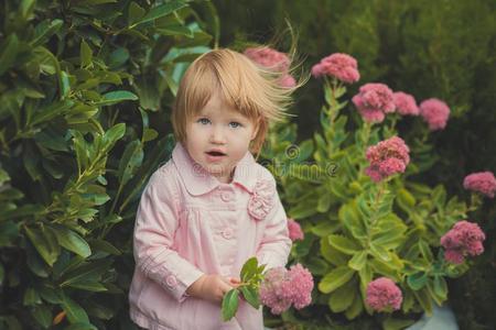 婴儿漂亮的女孩和亚麻色的头发和粉红色的苹果脸颊享有spring春季