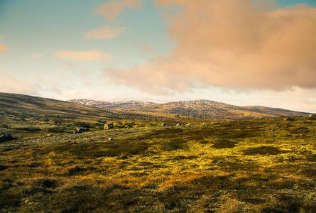 一美丽的山风景采用秋采用中央的挪威.喜修饰者