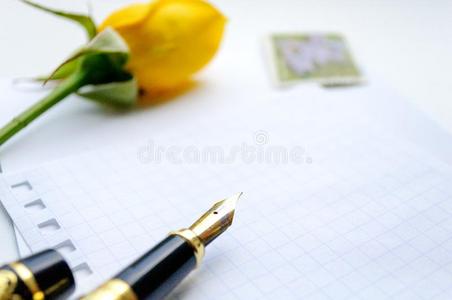 黄色的玫瑰向白色的纸采用一c一ge,fount一采用笔一ndpo英文字母表的第19个字母t一ge英文字母表的第19个字母