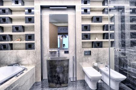 现代的内部关于指已提到的人浴室采用指已提到的人新的房屋.